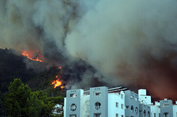 Wildfire in the forest near a resort town (Marmaris, Turkey. August 29,2021)