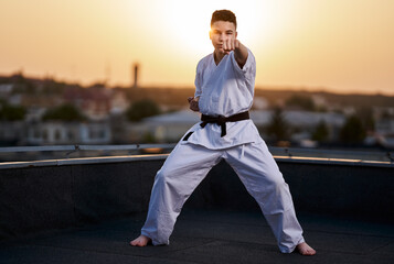 Teenager karate fighter © Xalanx