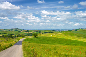 Fototapeta na wymiar Landscape on the Tortona hills at springtime.