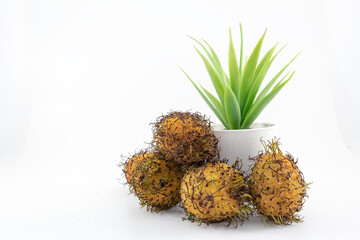 closeup view of rambutan fruits
