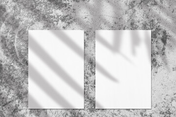 Two empty white vertical rectangle poster or card mockups with soft palm tree leaves and branches shadows on neutral light grey concrete wall background. Flat lay, top view