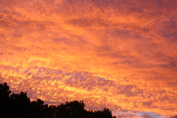 Australia Sunset