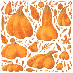 Set with ripe different pumpkins and autumn leaves. Isolated elements on white background. Orange, green and yellow color