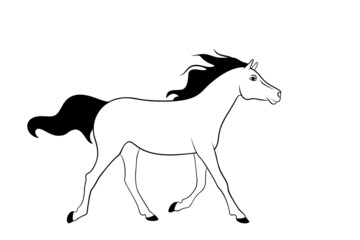 Cute running horse is on a white background. Illustration for coloring book.