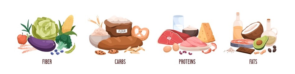 Set of healthy macronutrients. Fiber or cellulose, proteins, fats and carbs or carbohydrates presented by food products. Flat vector illustration of nutrition categories isolated on white background - obrazy, fototapety, plakaty