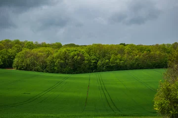 Fotobehang Green Stormy Field © Petra