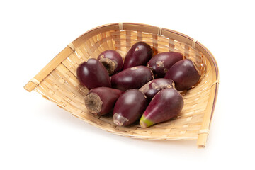 ウチワサボテンの実