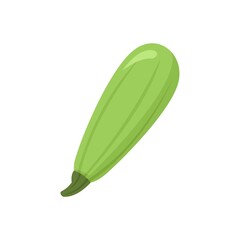 Squash icon flat isolated vector