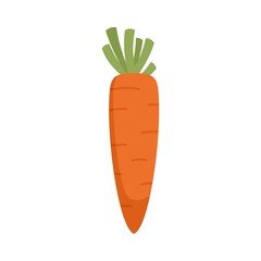 Organic carrot icon flat isolated vector