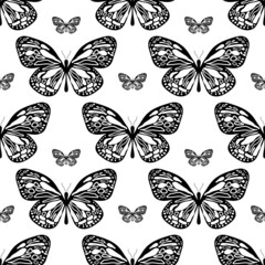 Fototapeta na wymiar Seamless pattern with butterflies. Vector.