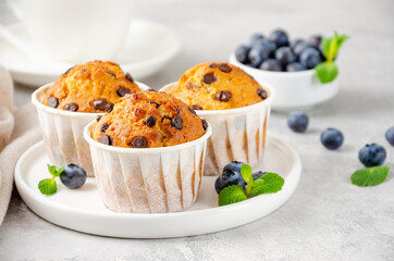 Muffins with chocolate chips on a white plate with cup of coffee and fresh blueberries on a gray concrete background. Copy space.