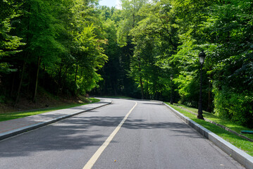 Highway through summer forest. Green trees beside of road going in the upward.