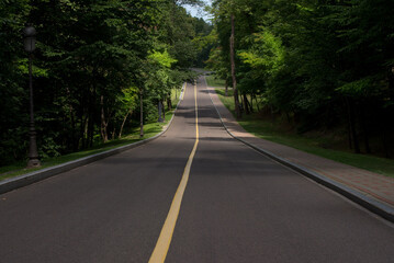 Highway through summer forest. Green trees beside of road going in the upward.