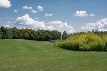 Green field with a bright blue sky above. Scenic landscapes of the park in the summertime