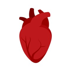 Organ human heart icon flat isolated vector