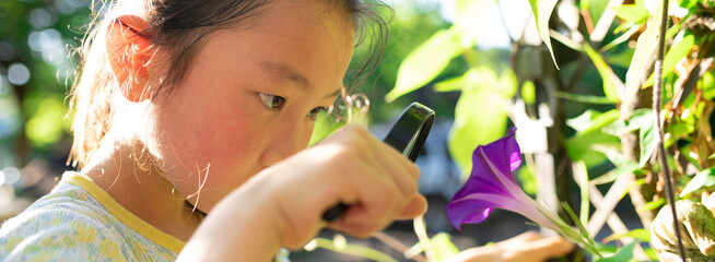 朝顔の花を虫眼鏡で観察する少女