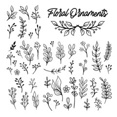 Floral graphic elements big vector doodle set. Flowers and plants hand drawn illustrations. Branches and leaves.