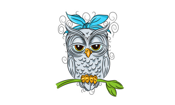 Long-eared Owl. Color, graphic portrait of an owl on a  white background. Digital vector drawing
