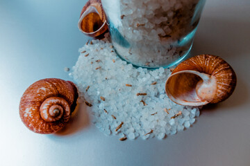 Sea white salt close-up next to seashells and a transparent jar.