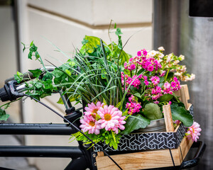 Street photo of flowers basket on a bicycle