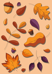 Cartoon set of fallen autumn botanical forest plants, various type of coloured leaves and acorns. Vector illustration in a flat style. Vector illustration