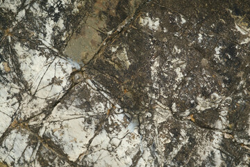 the texture of the rock. The texture of the stone. The texture of the stone with white spots.