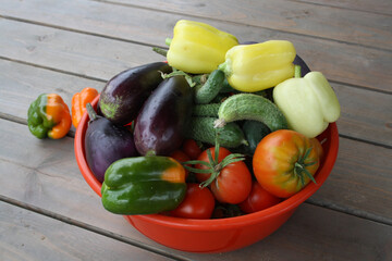 A set of fresh vegetables from your garden. Eggplant, pepper, tomatoes, cucumbers in a red bowl.