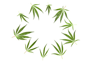Naklejka premium Flat composition with cannabis leaves in a circle, with place for text on a white background.