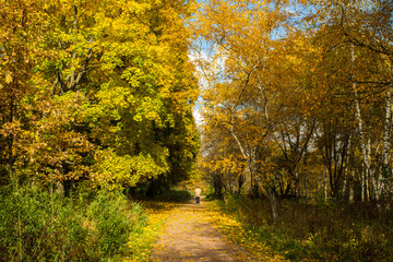 Fototapeta na wymiar Autumn Landscape With Walking Man On Walkway In Park.