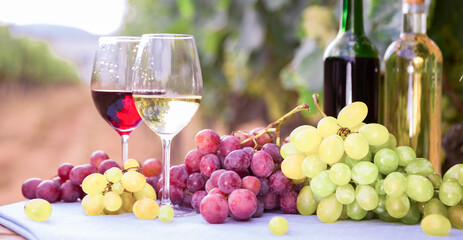 still life with glasses of red and white wine and grapes in field