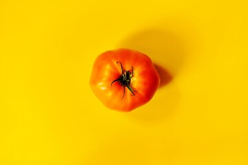 pomarańczowy pomidor 