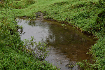 Pond in the rain wrinkles