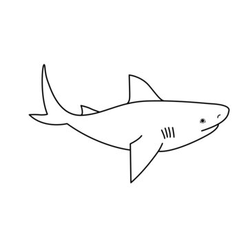recommend clip art: Shark