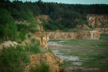forest cliff

