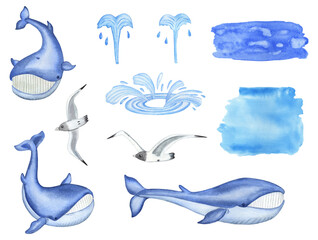 Obraz premium Watercolor Blue Whales, seagull birds and water drops isolated on white background