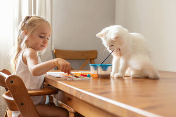 A girl draws at the table with paints with a white cat.