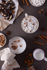Winter cocoa drink with milk foam and marshmallow in a mug and an aluminum scoop, cinnamon and almonds, cane sugar and star anise, dark chocolate with nuts, top view