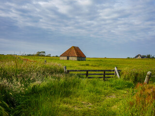 Schapenboet op de Hoge berg, Texel