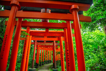 新潟県新発田市大友稲荷の鳥居