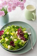 Top view of a table and a plate with light salad, green mix salad with broccoli, mozzarella cheese and microgreens, pink carnations in a vase a mug of milk