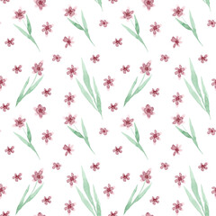 Watercolor seamless pattern of wildflowers on a white background. Ideal for dough designs and gift wrapping