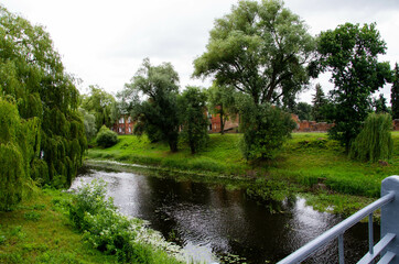 Fototapeta premium the river in the park