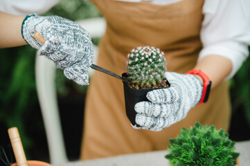 Work in the garden, planting pots