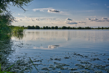 lake in the evening