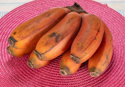 Closeup of mature, reddish-purple, organic red banana, red dacca or Cuban red, seen from above against a red placemat; a softer and sweeter banana with a distinctive raspberry flavor