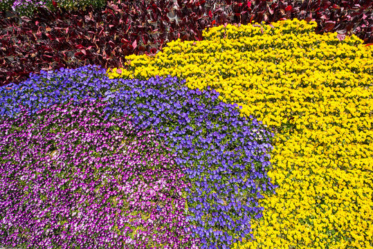 Hintergrund aus buten Blumenn