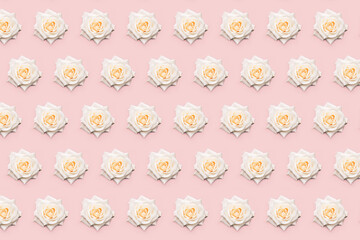 Floral white rose pattern