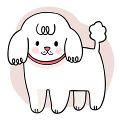 Hand draw cartoon cute white dog vector.