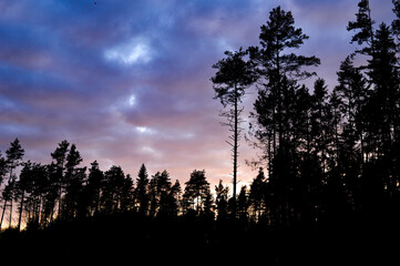 the darkness is small, the colors are bright.