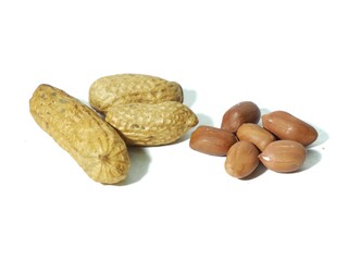 roasted peanuts for eating in white background